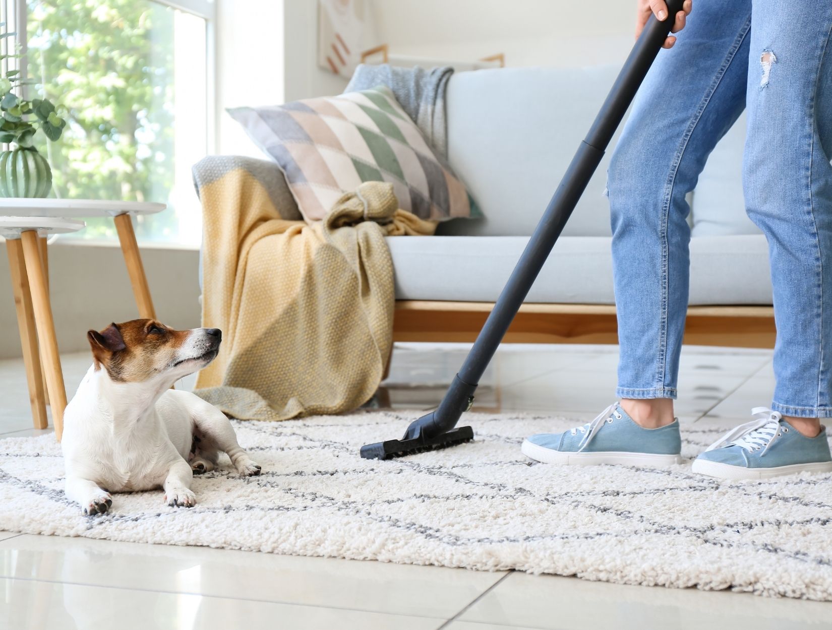 Office Cleaning Tips to Increase Productivity
